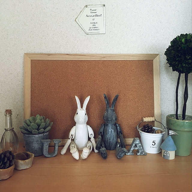 akissさんの実例写真