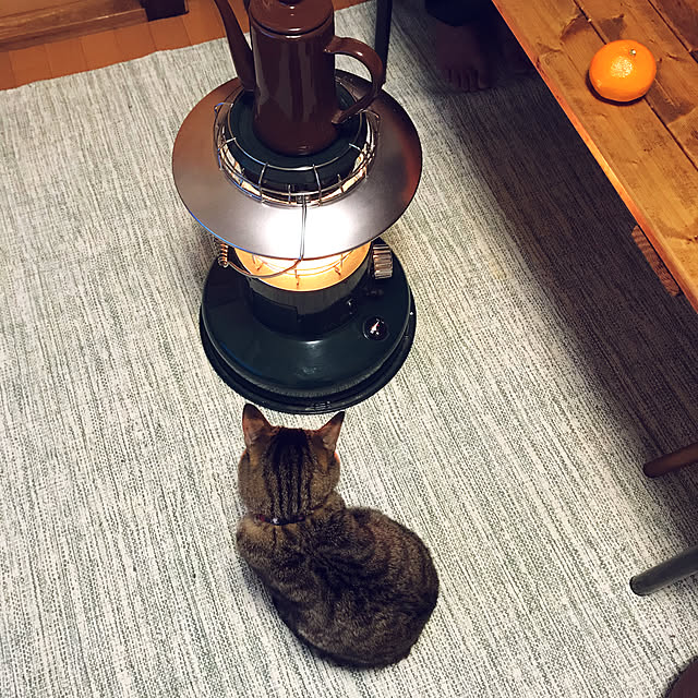 mikan161さんの実例写真