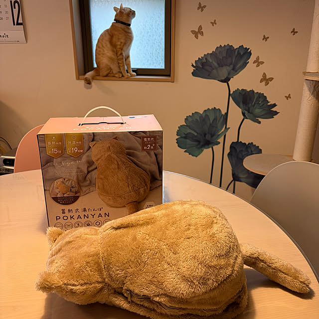 chiiさんの実例写真