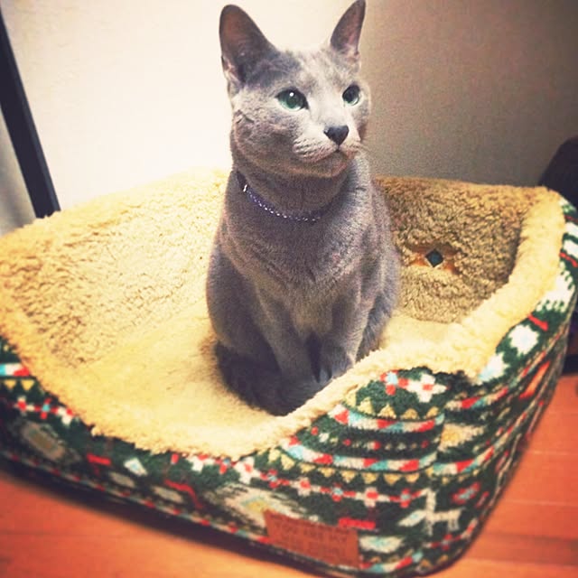hacoさんの実例写真