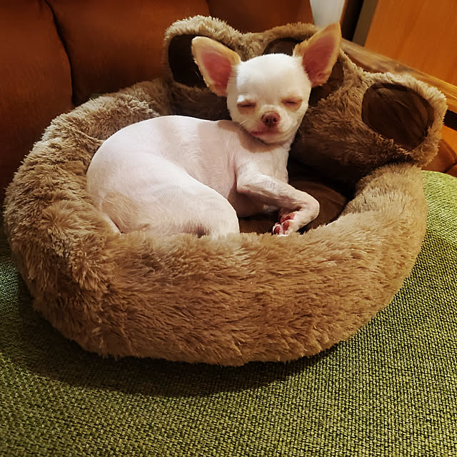 maaaaroさんの実例写真