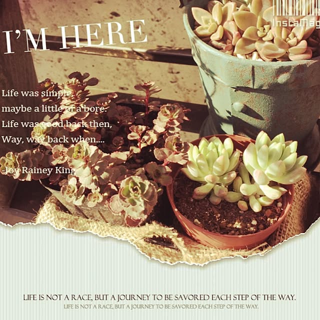 Good.smileさんの実例写真