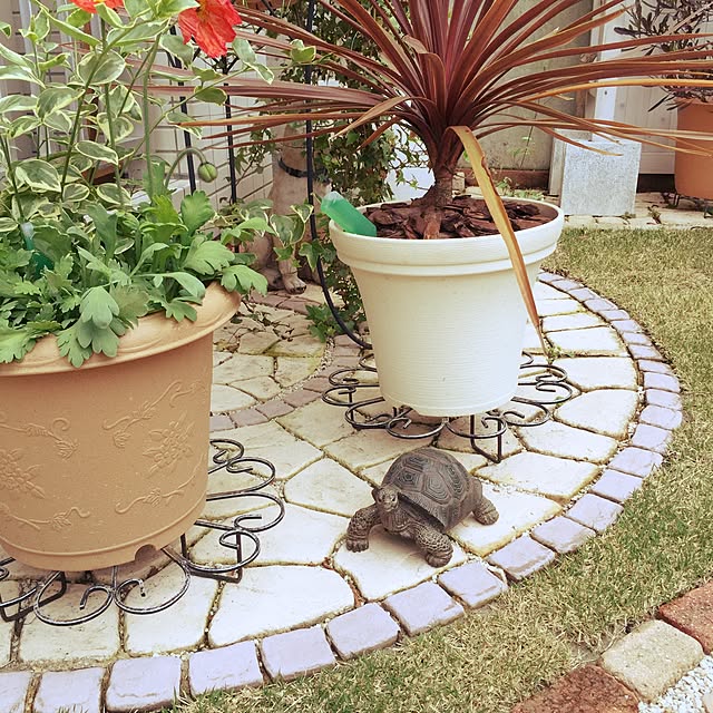 dodoさんの実例写真