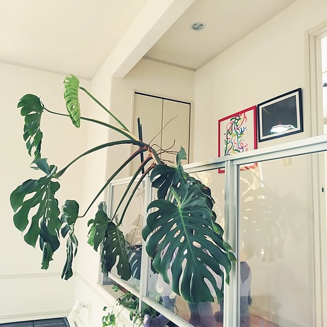urchinさんの部屋