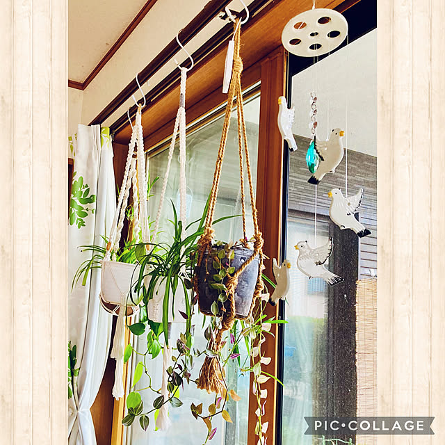 CoCo0617さんの実例写真