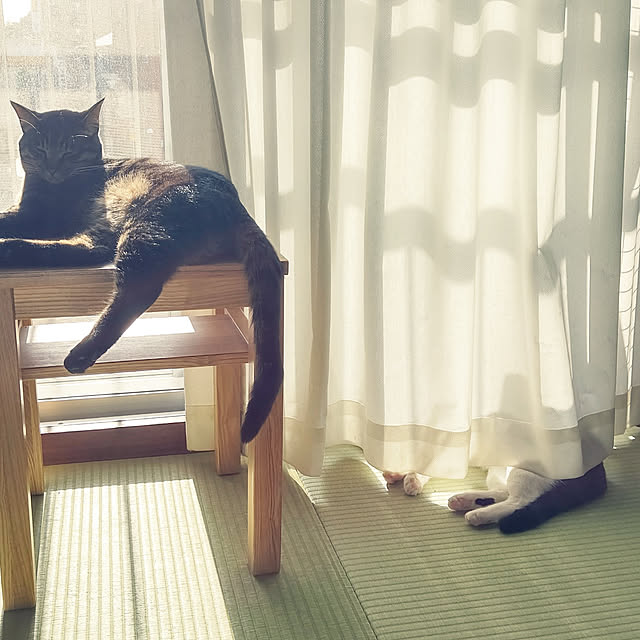 hihaさんの実例写真