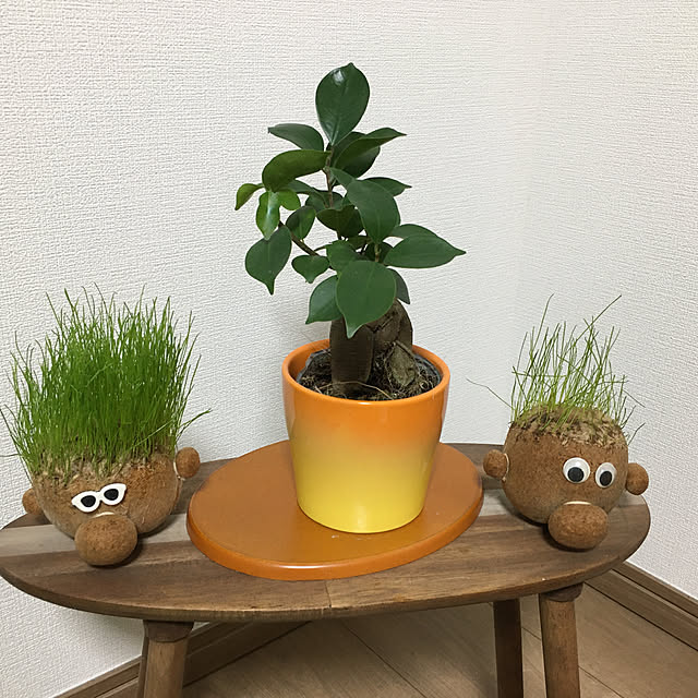 namikiさんの実例写真