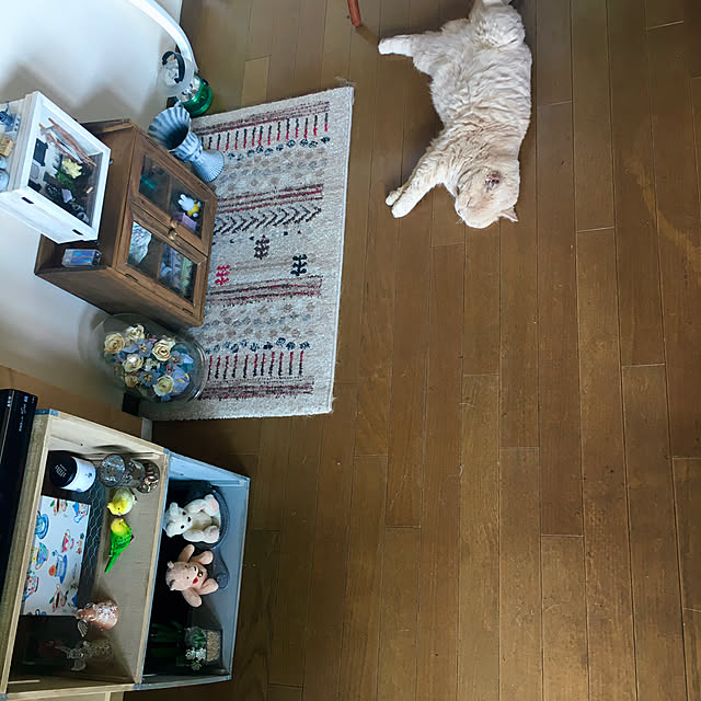 naokoさんの実例写真