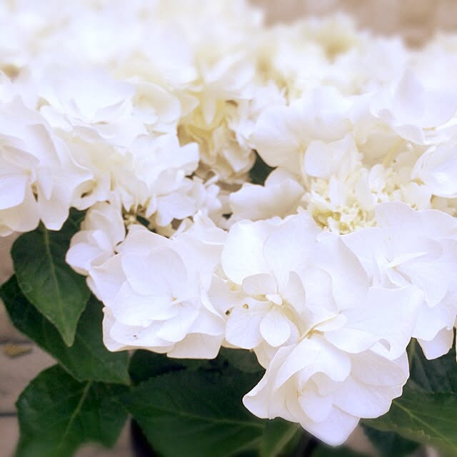 Nozomiさんの実例写真