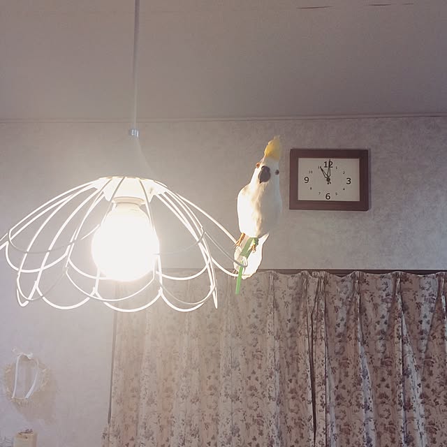 kyaさんの実例写真