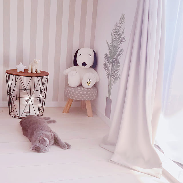 snoopyさんの実例写真