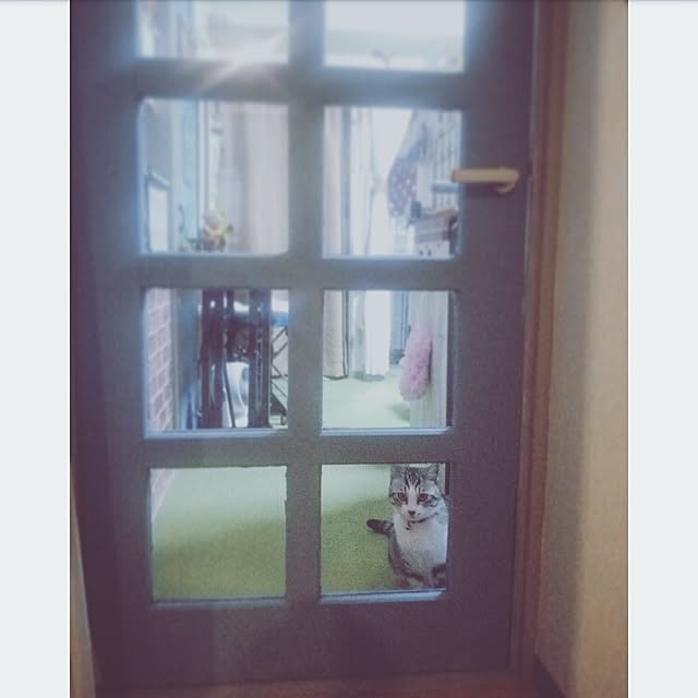 mntcさんの実例写真