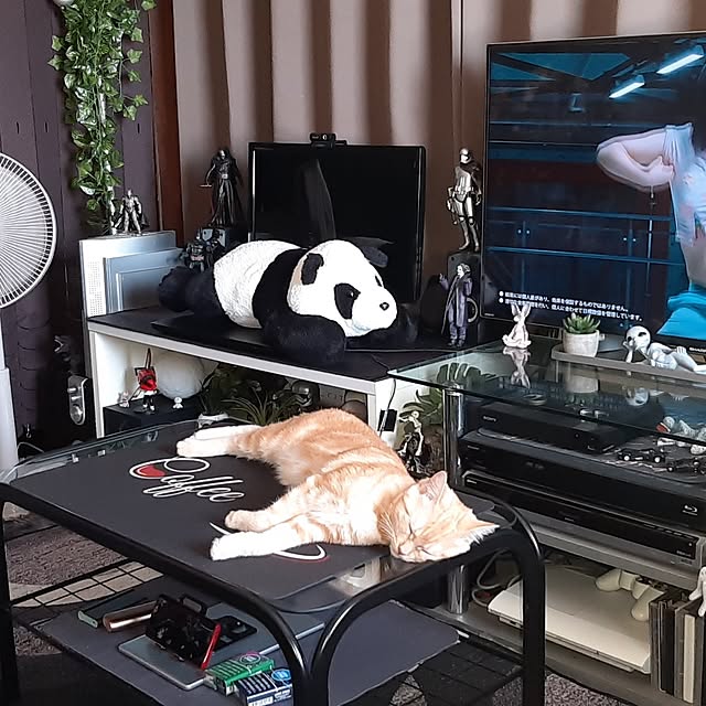 tosi66554さんの実例写真