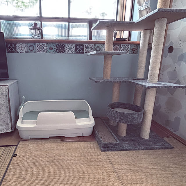 yuzuaoさんの部屋