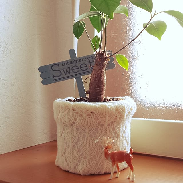 confettoさんの実例写真
