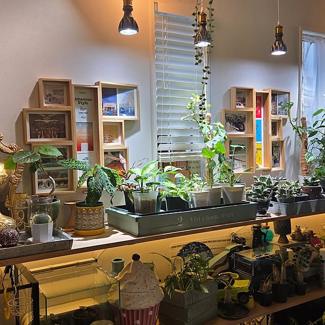 nonbiri_house_さんの部屋