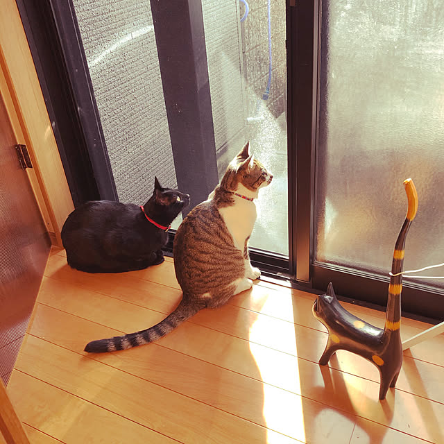 jijiさんの実例写真