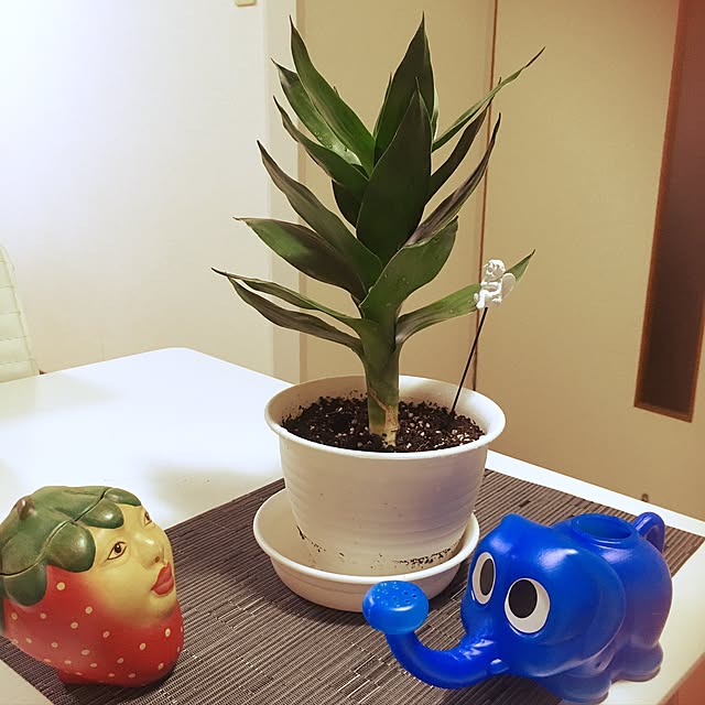 FTC0723さんの実例写真