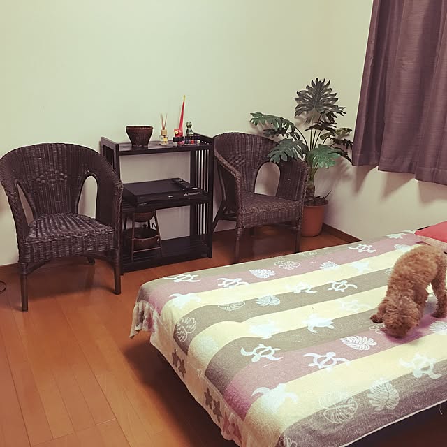 yumeyanさんの実例写真