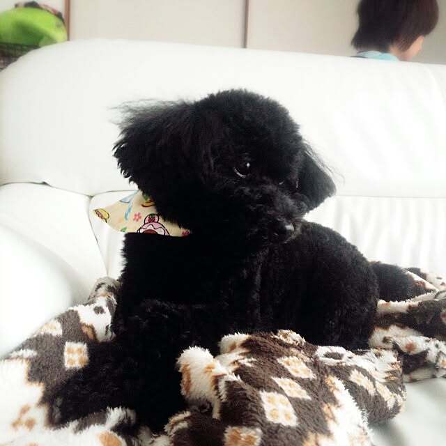 mo_om0v0さんの実例写真