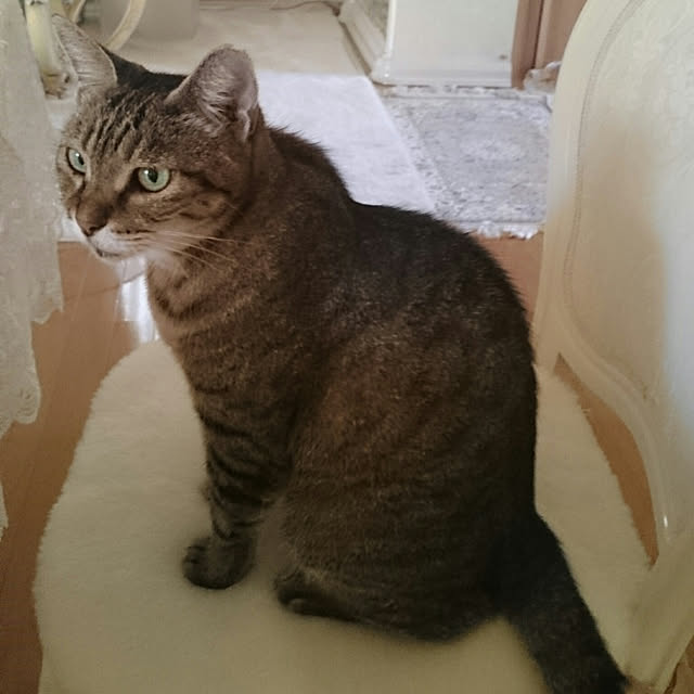 lilyさんの実例写真