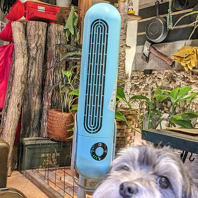 GINさんの部屋