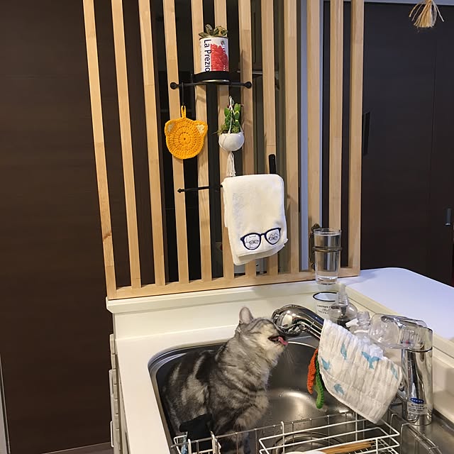 mikomaruさんの実例写真