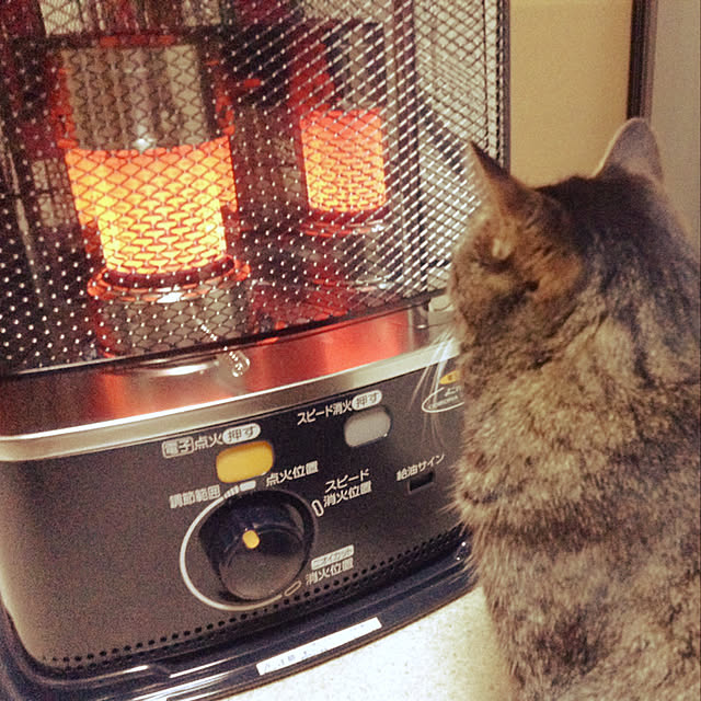 ayuumさんの実例写真