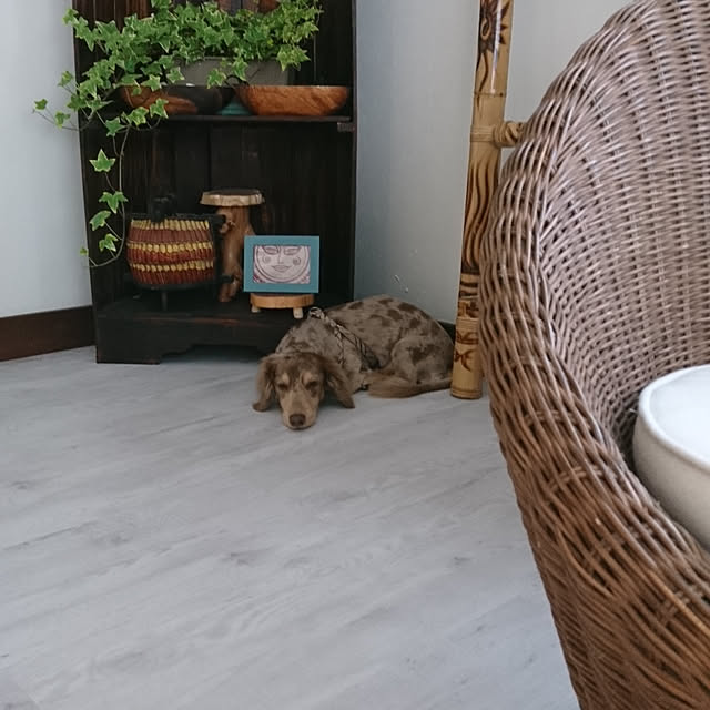 Rさんの実例写真