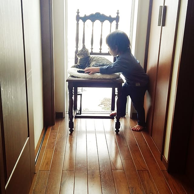 noraさんの実例写真