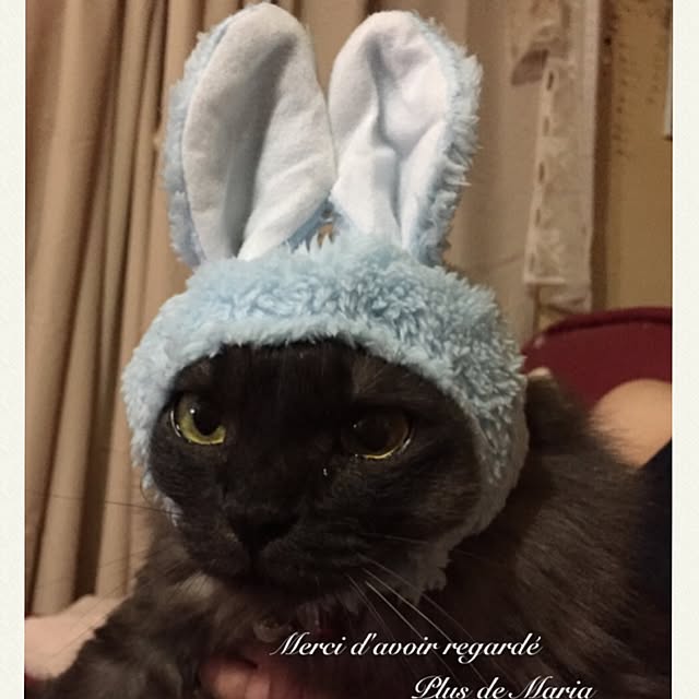 maria.rさんの実例写真