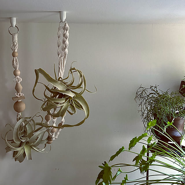 DAYONEさんの部屋