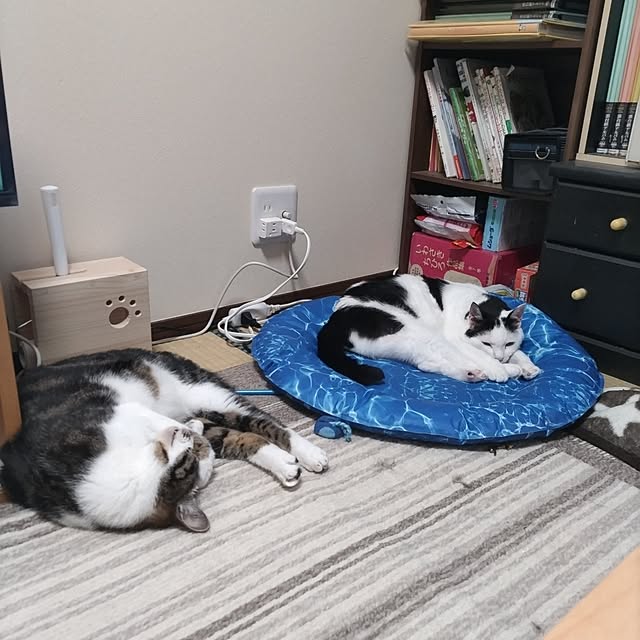 yuuさんの部屋