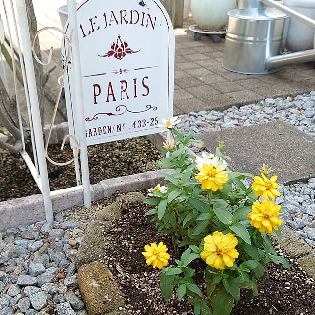 fleur-mamanさんの部屋