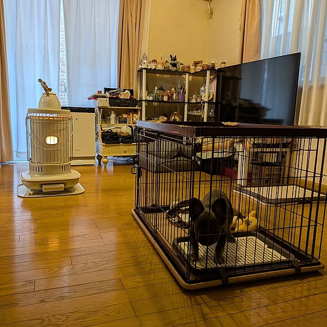 chi_gogaさんの実例写真