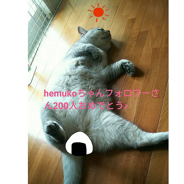 tamacharouさんの実例写真