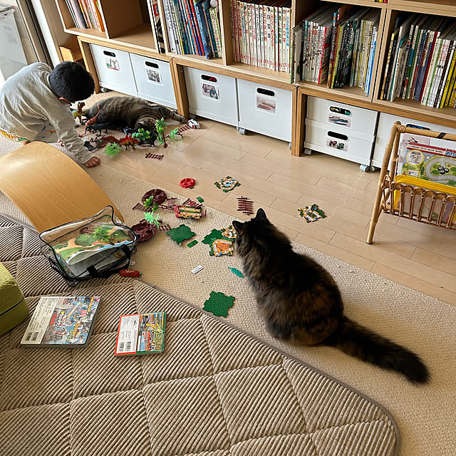 mikomaruさんの実例写真