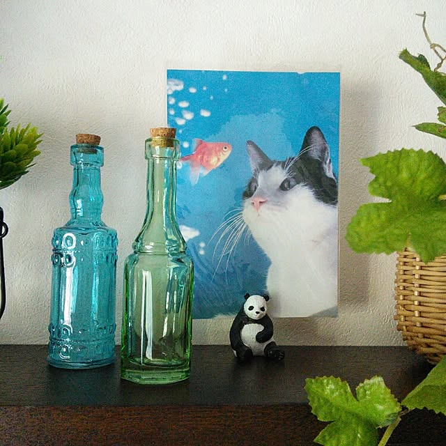 lovepandaさんの実例写真