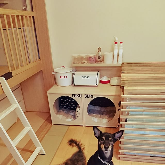 Rikokkumamaさんの実例写真