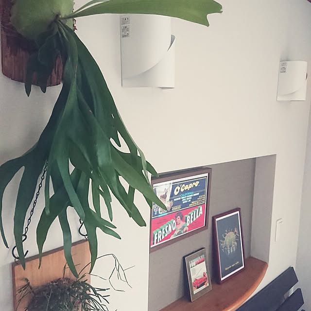 ot-gardenさんの部屋