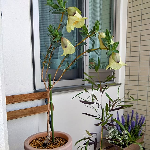 kerochanさんの部屋