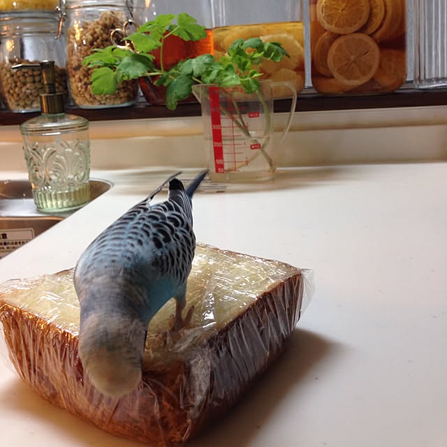 Rikoさんの実例写真