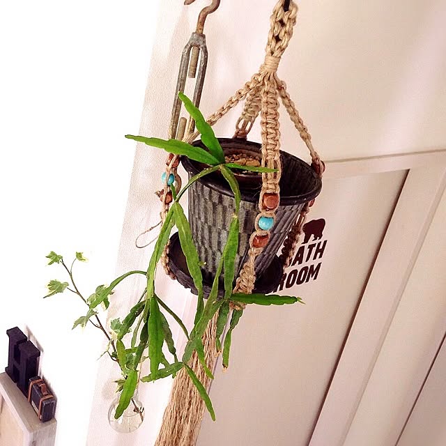 NAOさんの実例写真