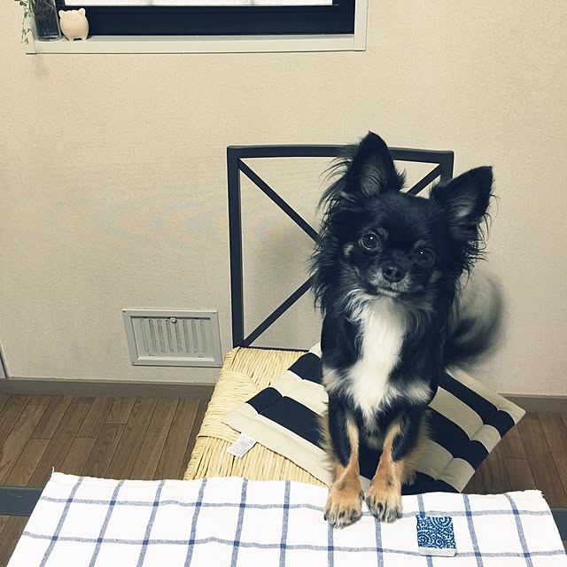 hitosan.さんの実例写真