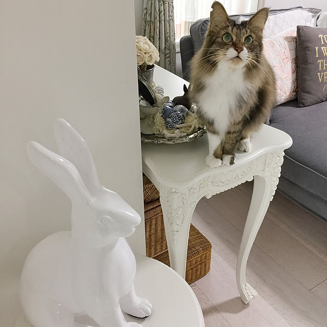 yuchiさんの実例写真