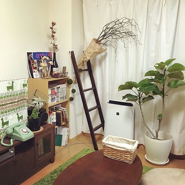 実例写真