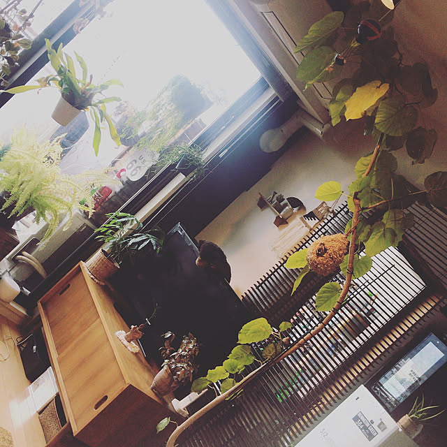 riechocoさんの実例写真