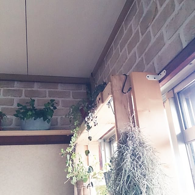 miporin0711さんの実例写真