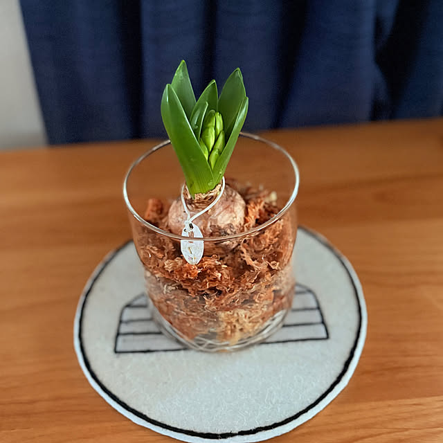 hngbo015さんの実例写真