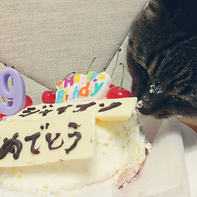 kittenblueさんの実例写真